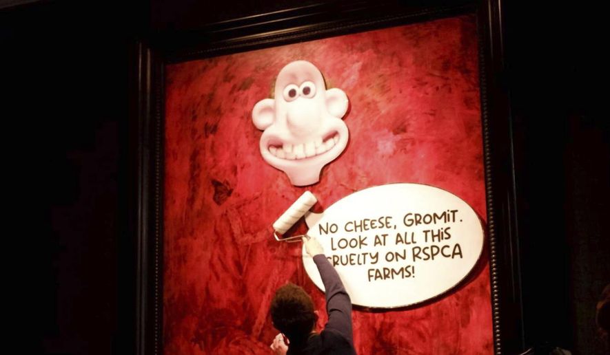 This photo released by Animal Rising shows an activist pasting a picture of a character called Wallace, from the “Wallace and Gromit” comedy series, over a portrait of Britain's King Charles III at the Philip Mould Gallery in London, Tuesday June 11, 2024. Animal rights activists pasted a cartoon image over a portrait of King Charles III on Tuesday at a London art gallery, the latest in a series of incidents at U.K. museums as campaigners use vandalism to publicize their causes. (Animal Rising via AP)