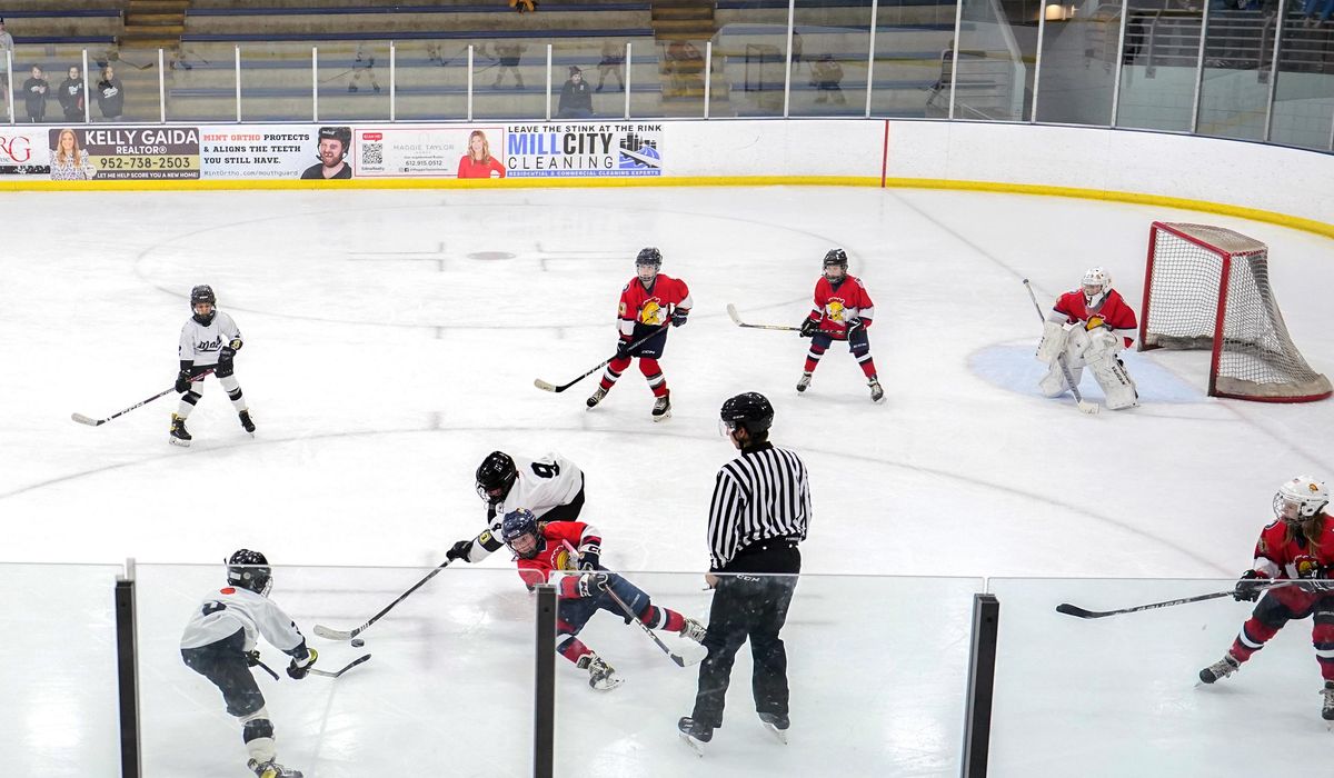 NextImg:U.S. sees steady growth in youth hockey participation, while it shrinks in Canada