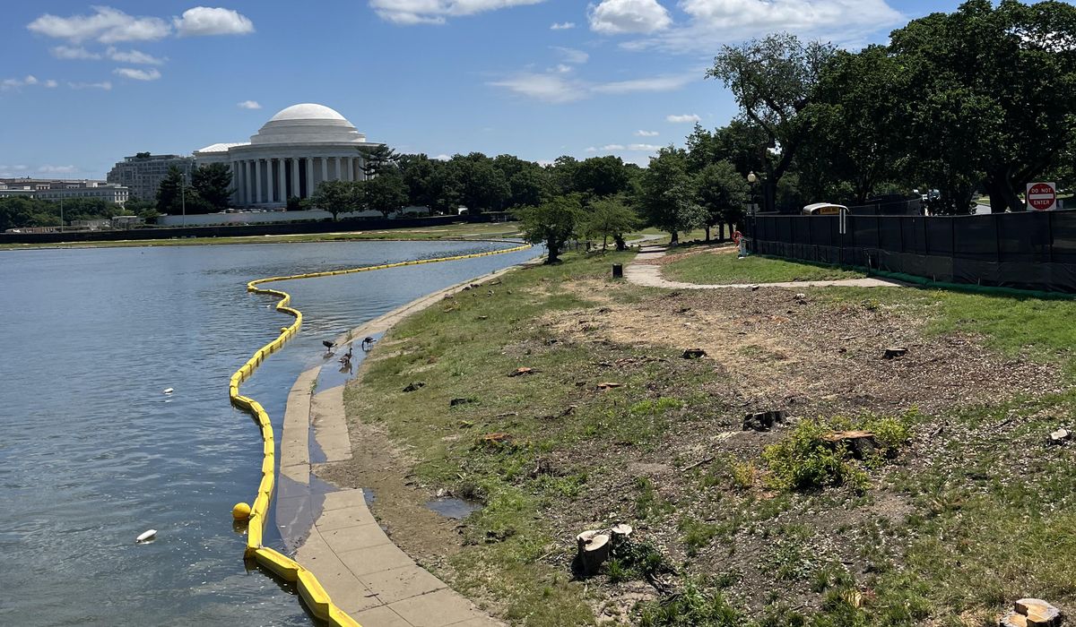 NextImg:Seawall restoration, cherry tree removal turns Tidal Basin into construction site in D.C.