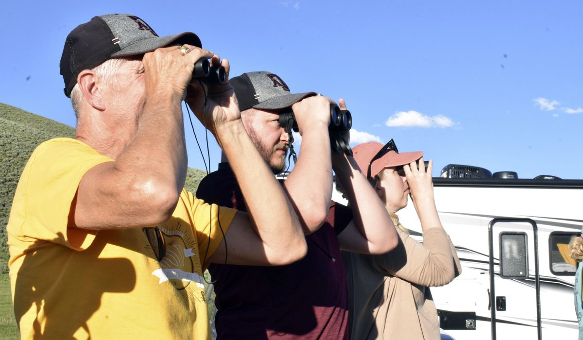 NextImg:Move over grizzlies and wolves: Yellowstone visitors hope to catch a glimpse of rare white buffalo