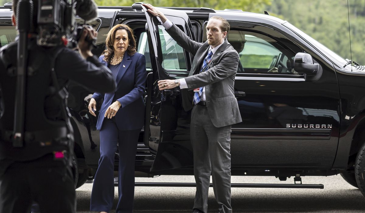NextImg:Kamala Harris stepping in for Biden at Ukraine summit as she takes growing role in 2024 campaign