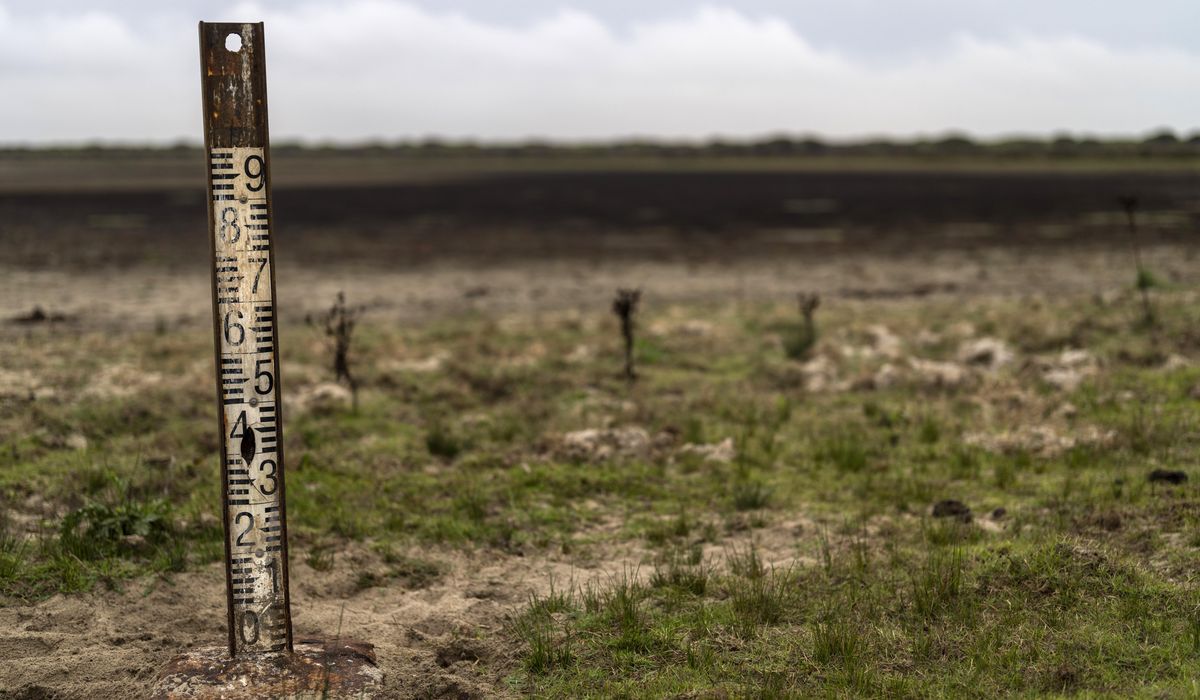 NextImg:Landmark EU nature restoration plan gets the green light despite months of protests by farmers