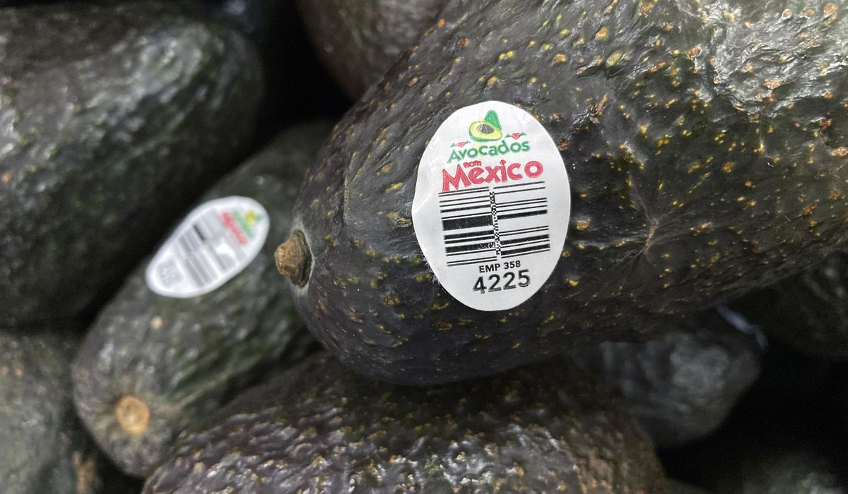 NextImg:2 assaults on U.S. avocado inspectors in Mexican state of Michoacan led to suspension of inspections