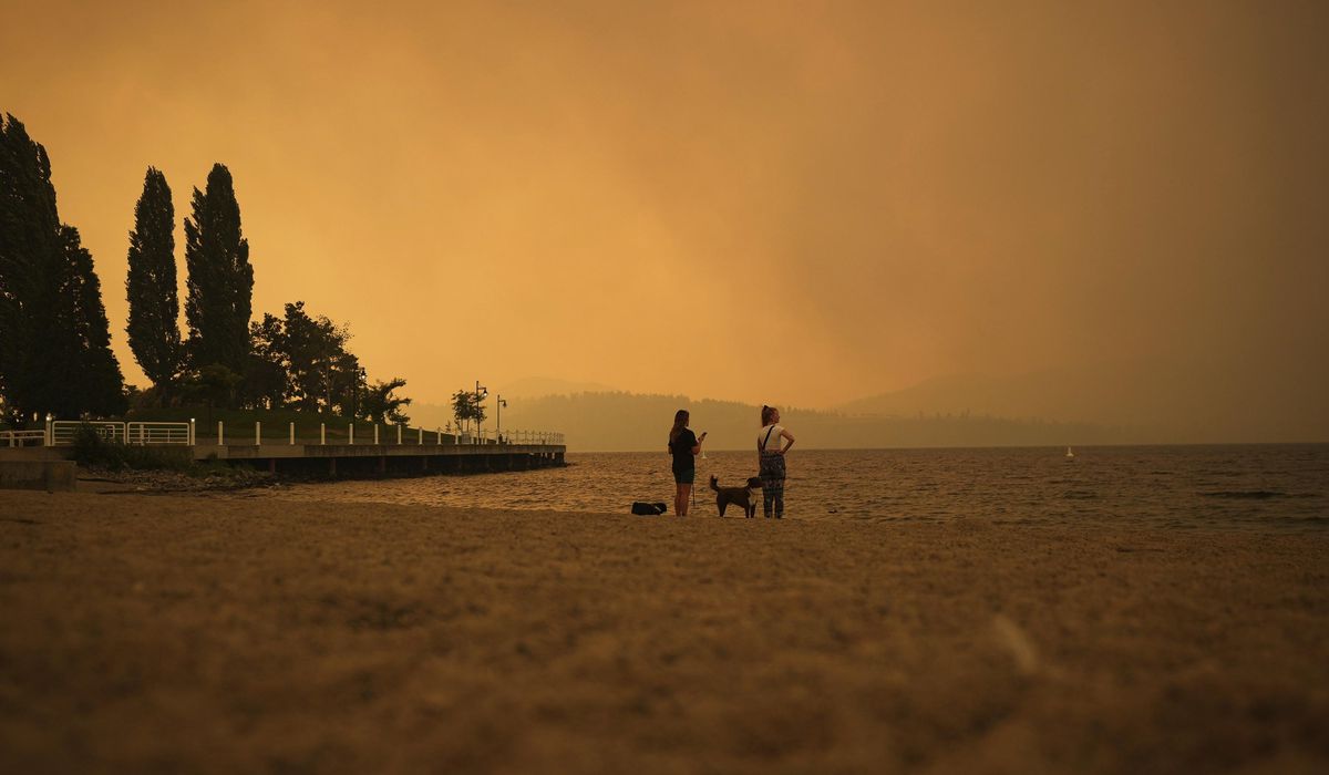 NextImg:Canada’s 2023 wildfires burned huge chunks of forest, spewing far more heat-trapping gas than planes