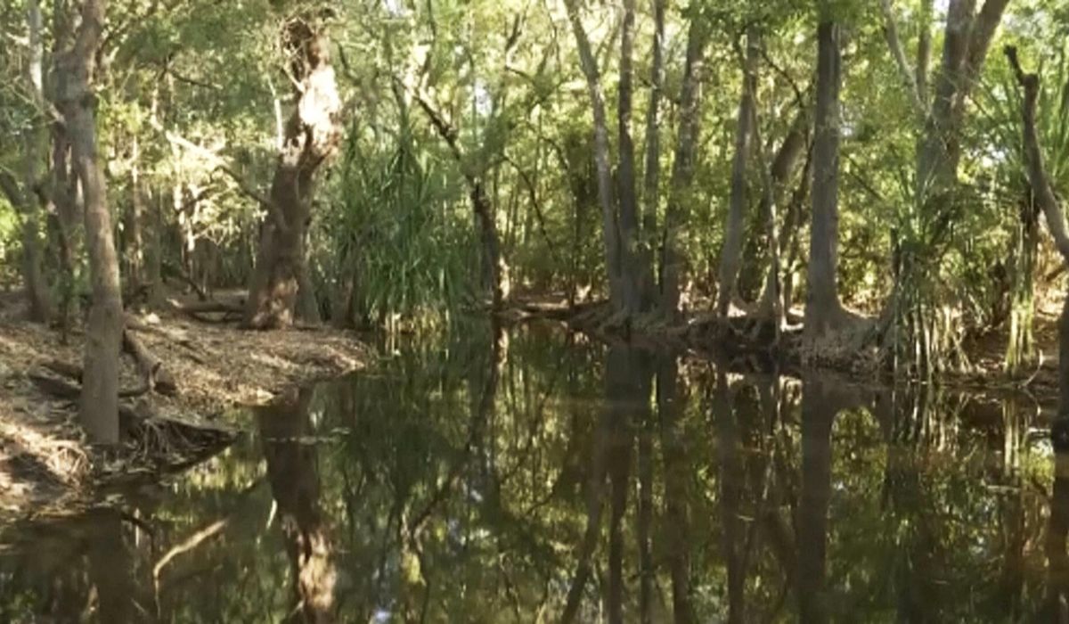 NextImg:Police find remains of girl snatched by a crocodile while swimming in northern Australia