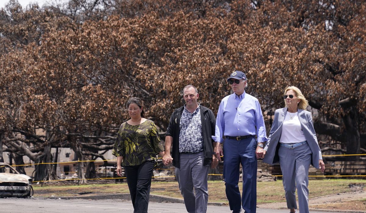 NextImg:Hawaii governor says Biden could decide within days whether to remain in the presidential race