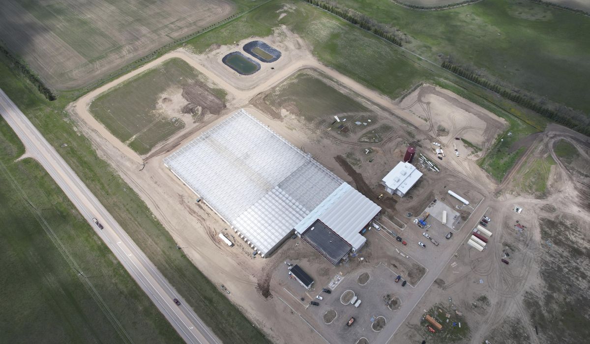 NextImg:Native American tribe in North Dakota goes back to its roots with a massive greenhouse operation
