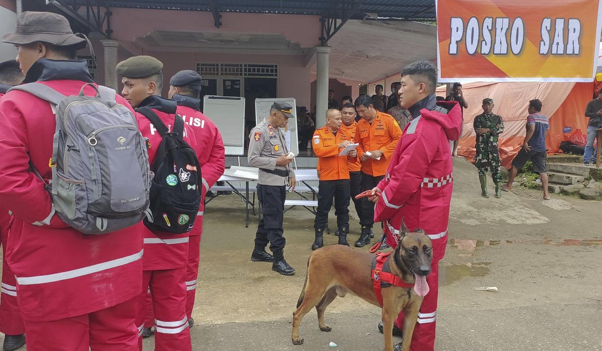 NextImg:Indonesian landslide triggered by heavy rain leaves 12 dead and dozens missing at illegal gold mine