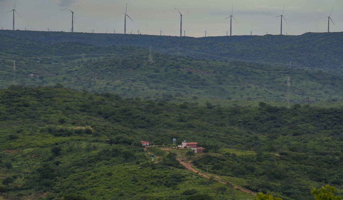 NextImg:Wind power expansion meets grassroots resistance in Brazil’s Northeast