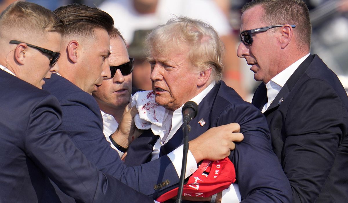 NextImg:Trump survives assassination attempt amid volatile 2024 presidential race