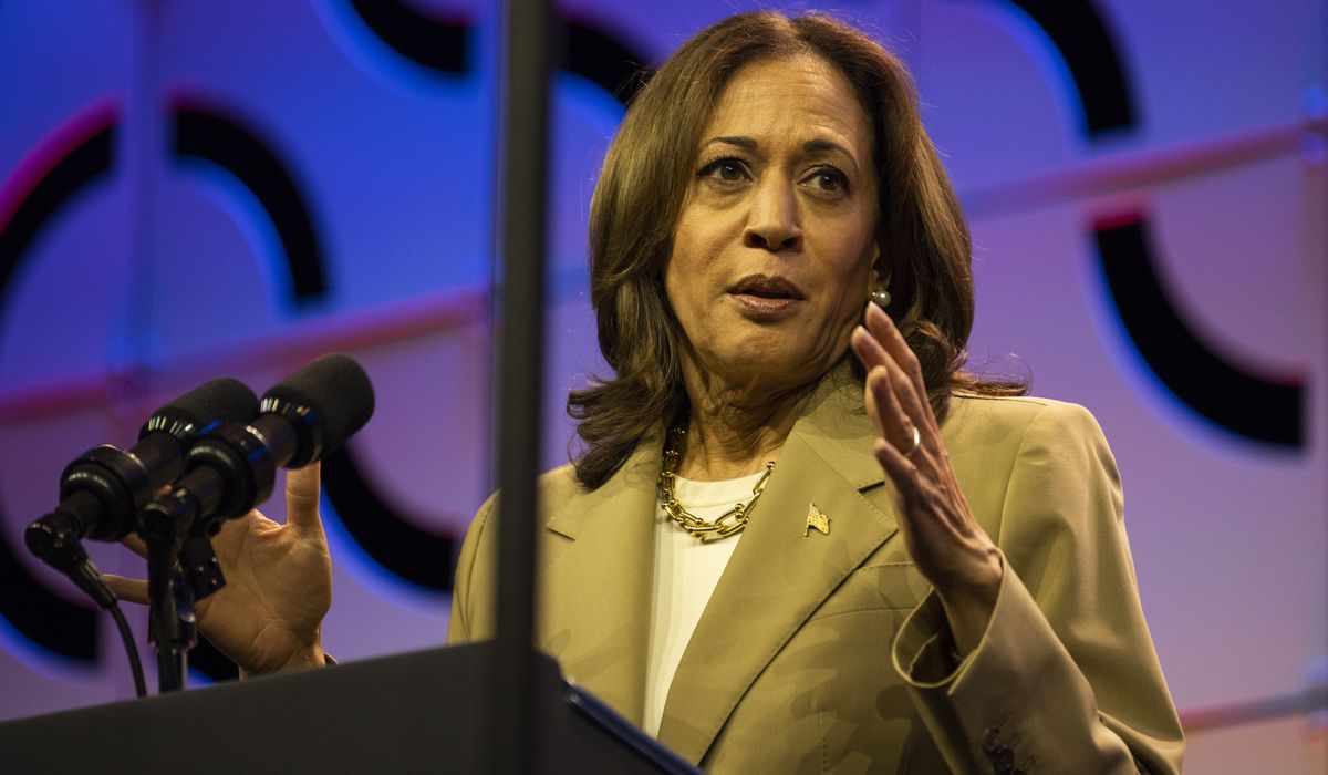 NextImg:VP Harris urges Democrats not to ‘throw up our hands’ on the election