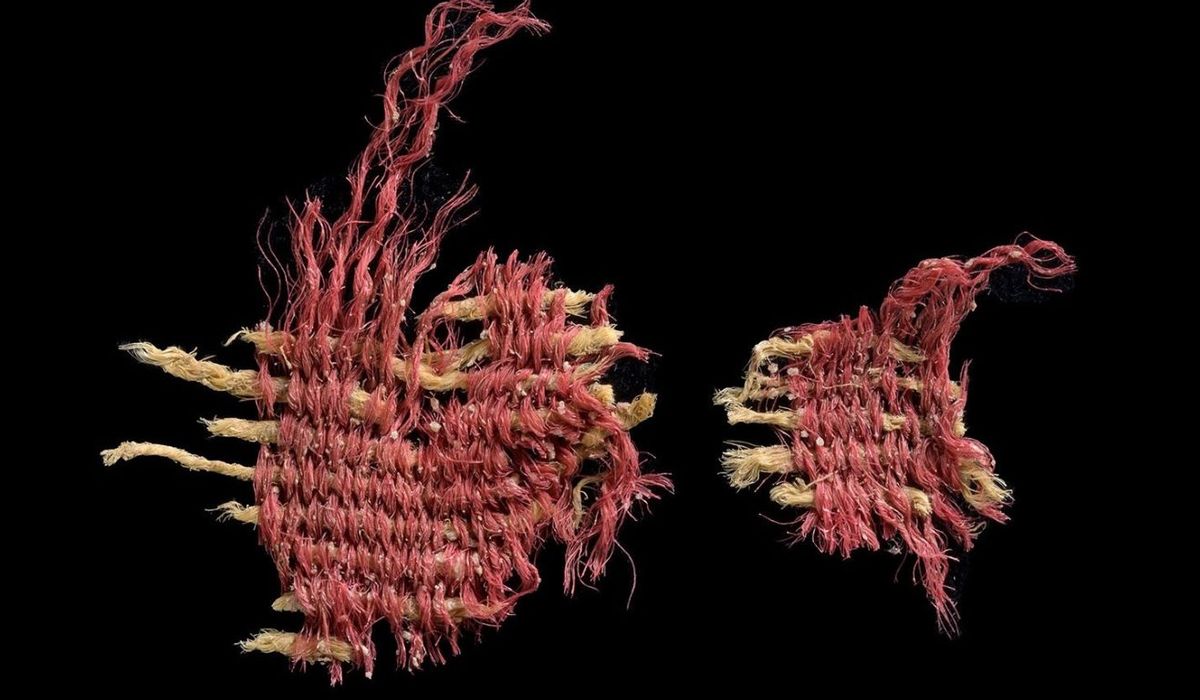 NextImg:3,800-year-old biblical-scarlet textile found in Judea