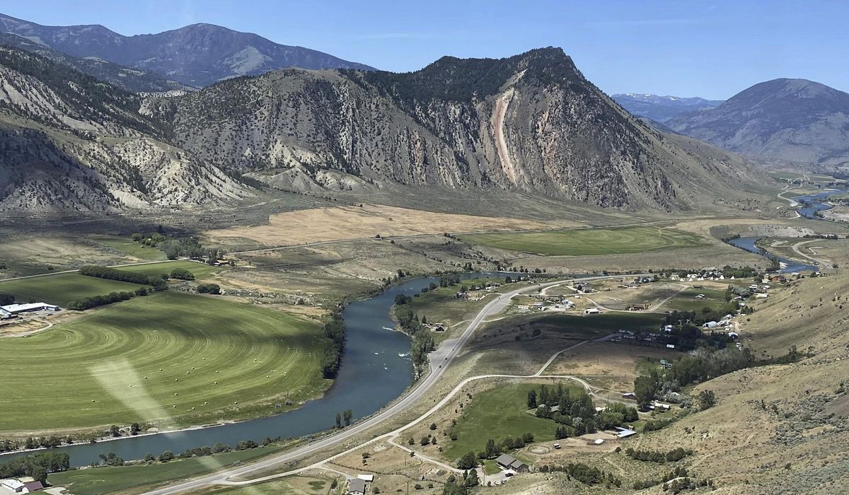 NextImg:Montanan shoots charging grizzly bear to death