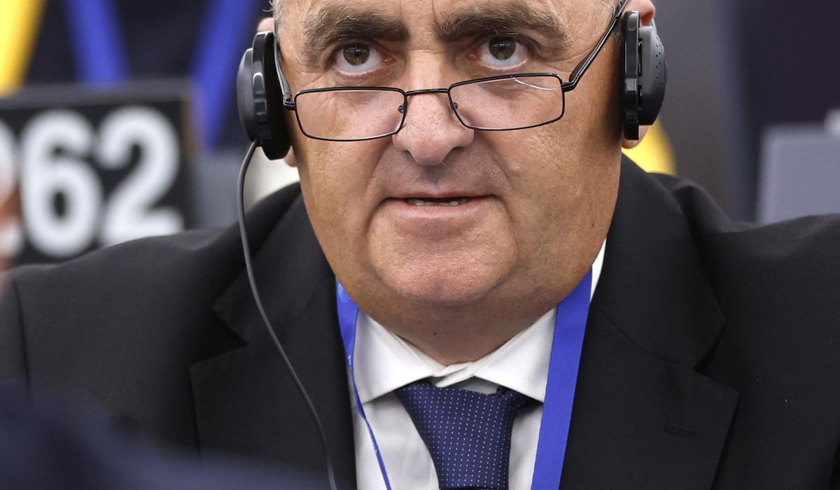 NextImg:Ethnic Greek politician returns to prison in Albania after attending European Parliament opening