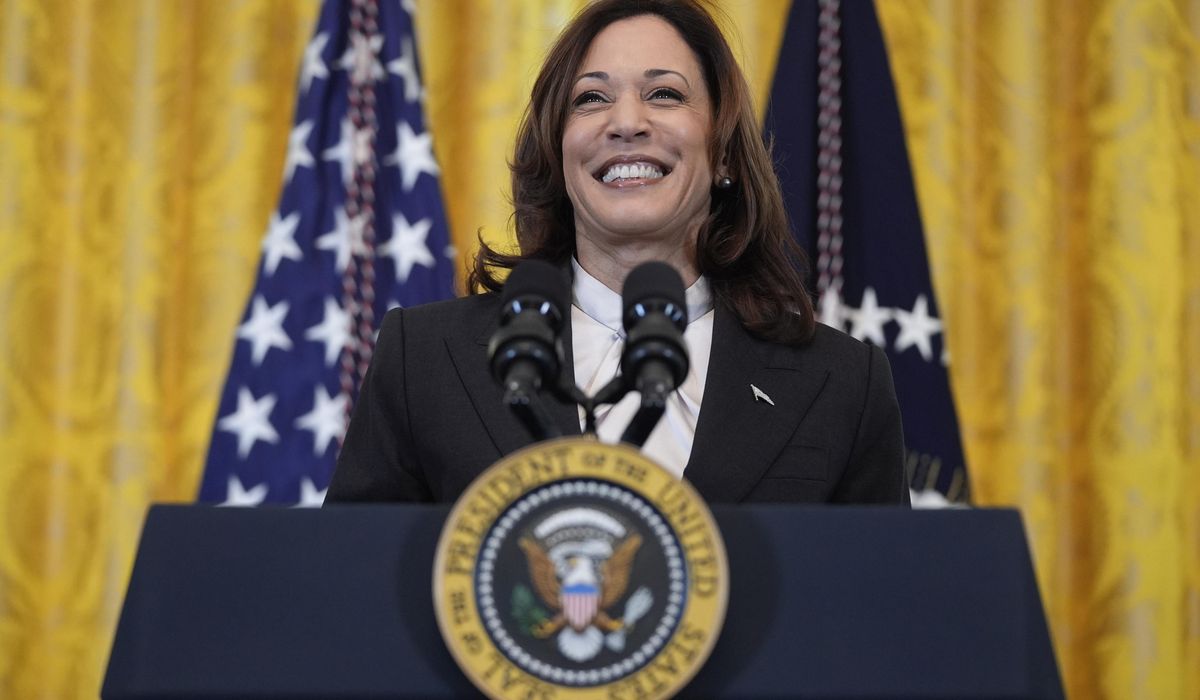 NextImg:Harris could become first Black woman, first person of South Asian descent to be president