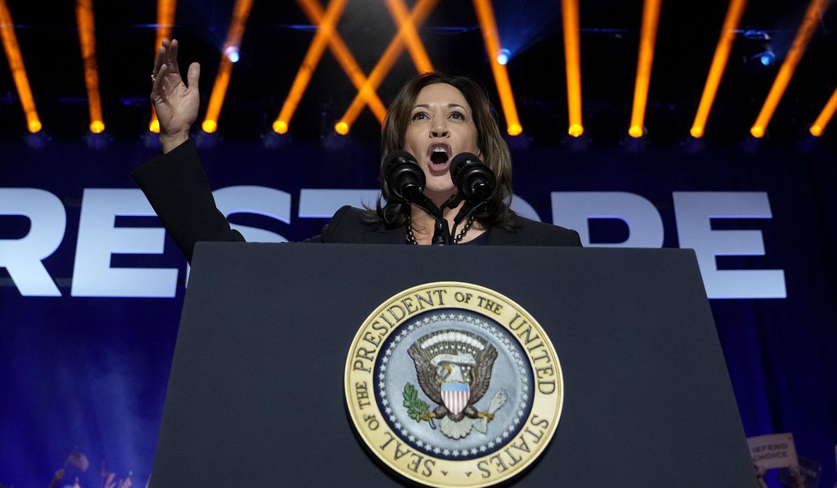 NextImg:Democrats are rallying around Harris as she vows to ‘earn and win’ party nomination for president