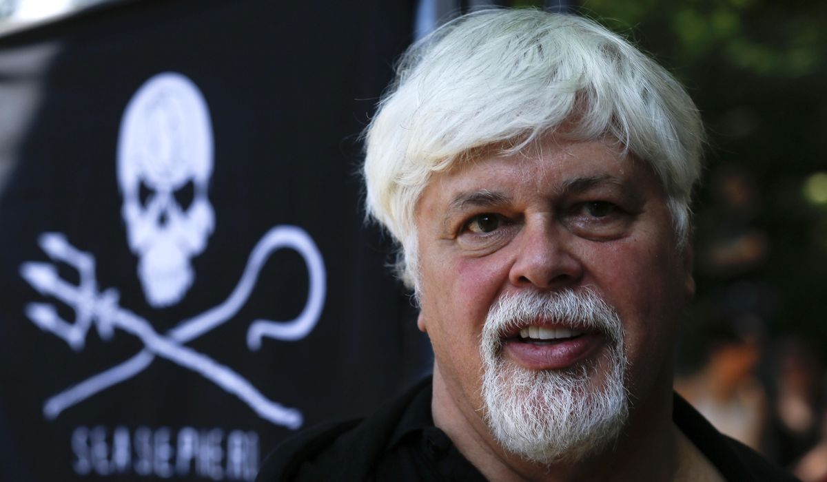 NextImg:Anti-whaling campaigner arrested in Greenland and police say he may be extradited to Japan