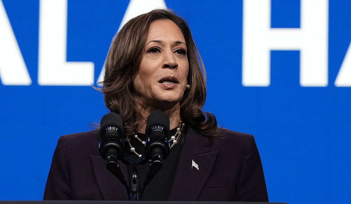 NextImg:Kamala Harris gives her message on the economy as Trump and Republicans go after her on inflation