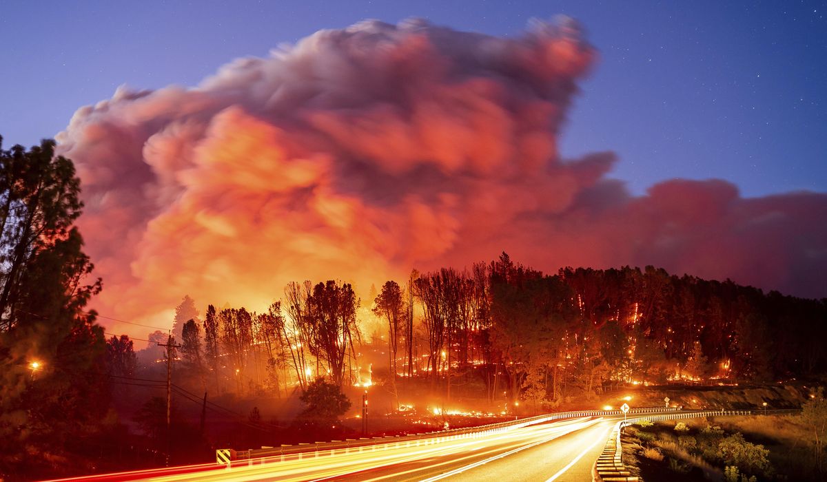 NextImg:Wildfire sparked by a burning car triples in size in a day. A 42-year-old man is arrested