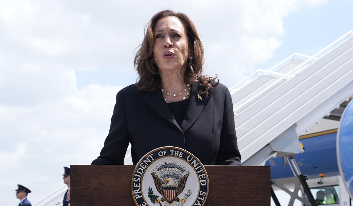 NextImg:Democrats begin online voting to nominate Harris for president