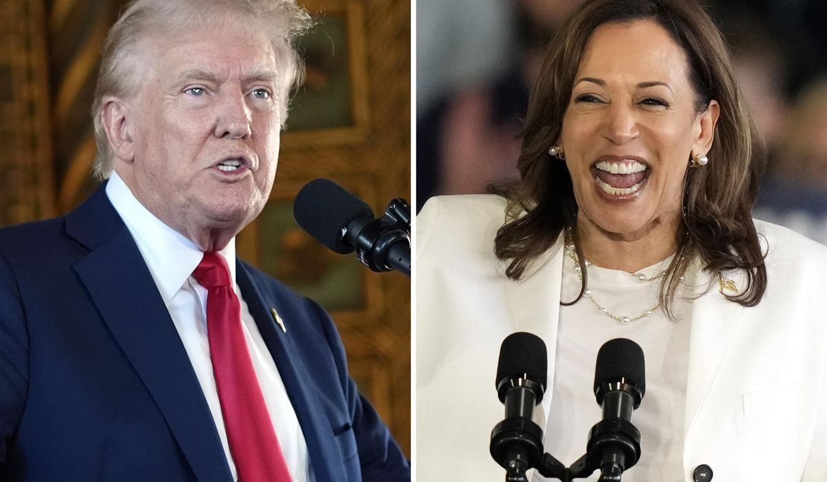 NextImg:Harris takes big lead over Trump with youth voters in survey