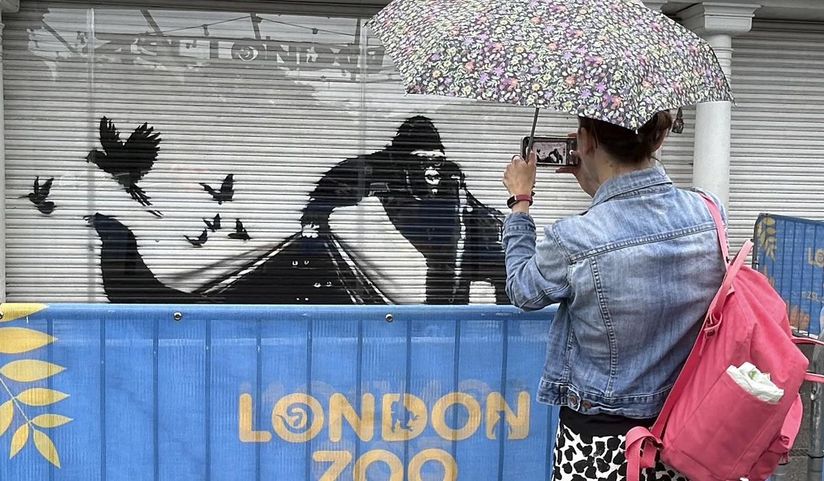 NextImg:The paint is dry on Banksy’s animal-themed street art that appeared across London over 9 days