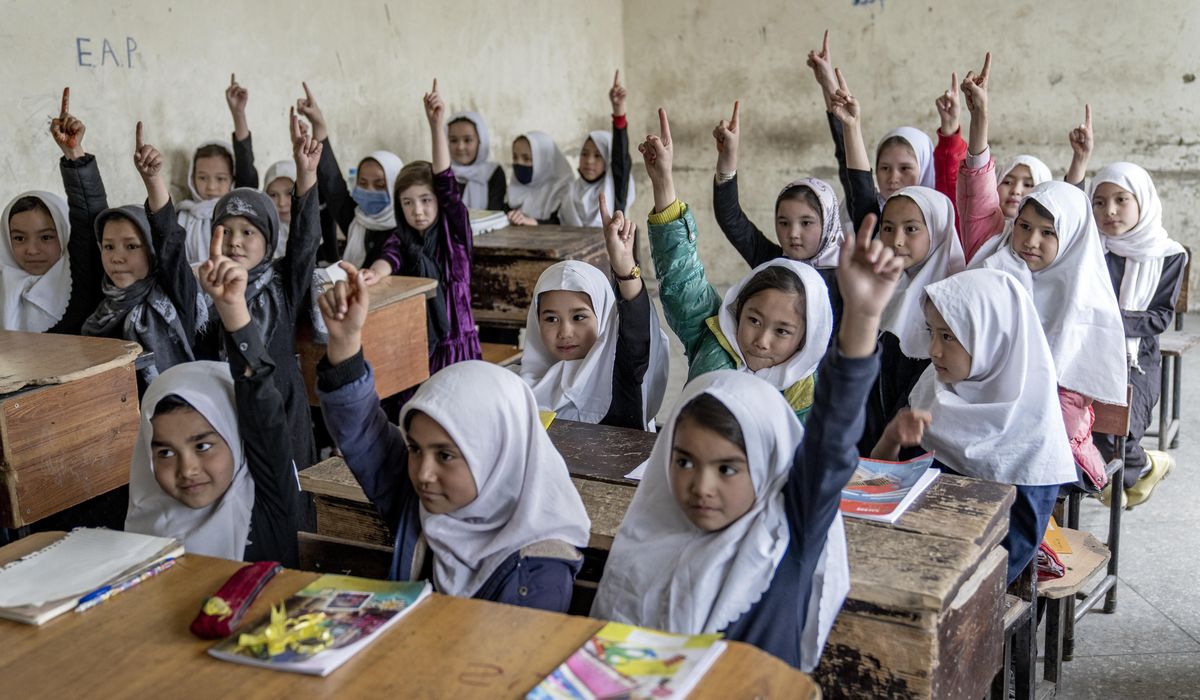 NextImg:Taliban have deliberately deprived 1.4 million Afghan girls of schooling through bans, says UNESCO
