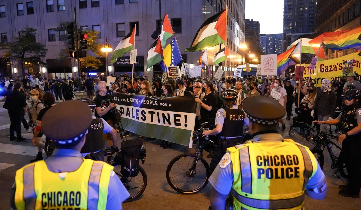 NextImg:Protesters plan large marches and rallies as Democratic National Convention kicks off in Chicago