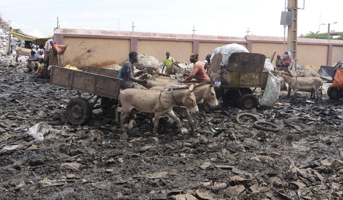 NextImg:The trash in Mali’s capital is piling up. Donkey carts are coming to help