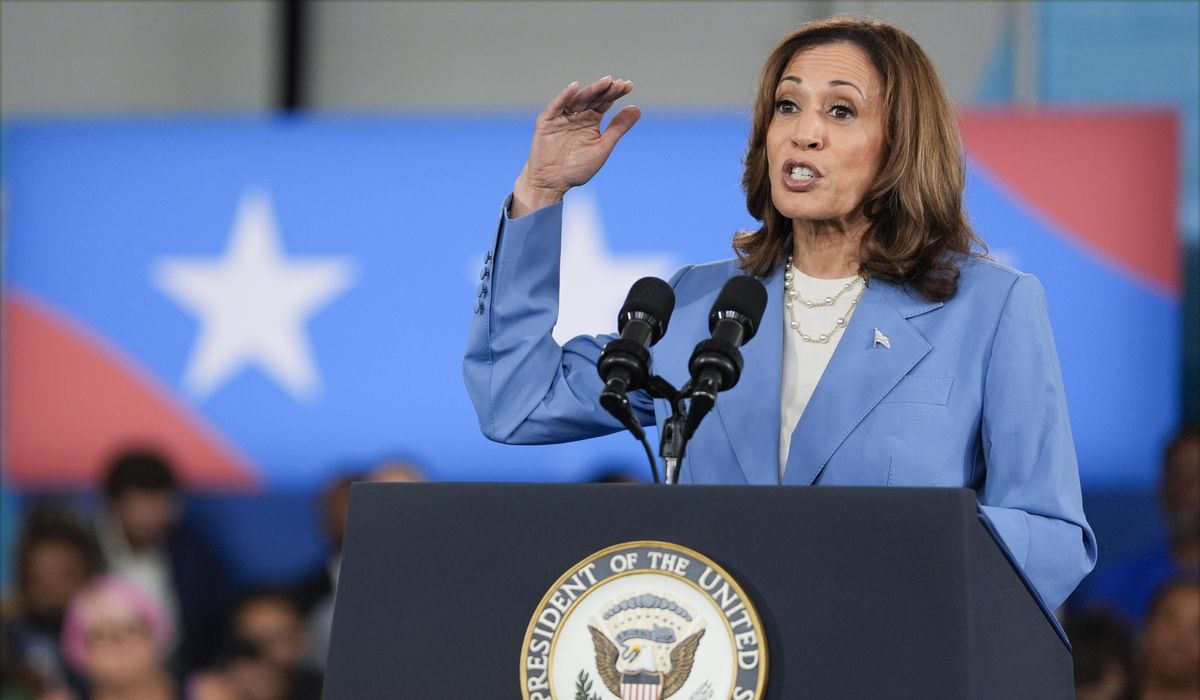 NextImg:Trump website aims to put meat on bones of vague Harris policies