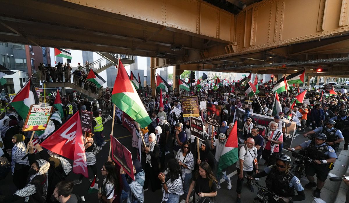 NextImg:Pro-Palestinian protesters march near DNC on third night of convention