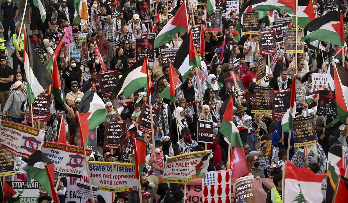 NextImg:Pro-Palestinian protesters increasingly angry as DNC ignores their demands