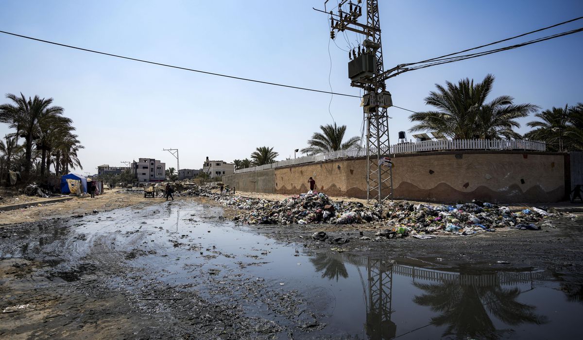 NextImg:Large-scale polio vaccinations begin in war-ravaged Gaza after first case in 25 years