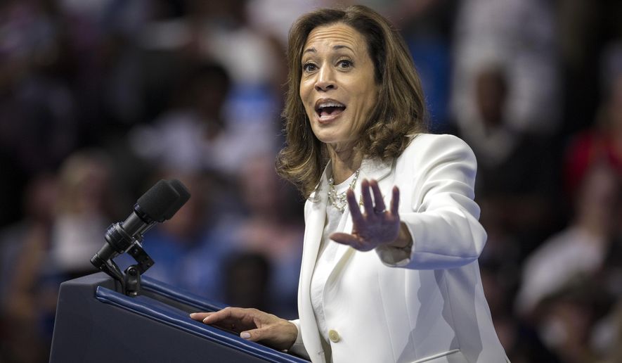 Democratic presidential nominee Vice President Kamala Harris speaks at a campaign rally Thursday, Aug. 29, 2024, in Savannah, Ga. (AP Photo/Stephen B. Morton)