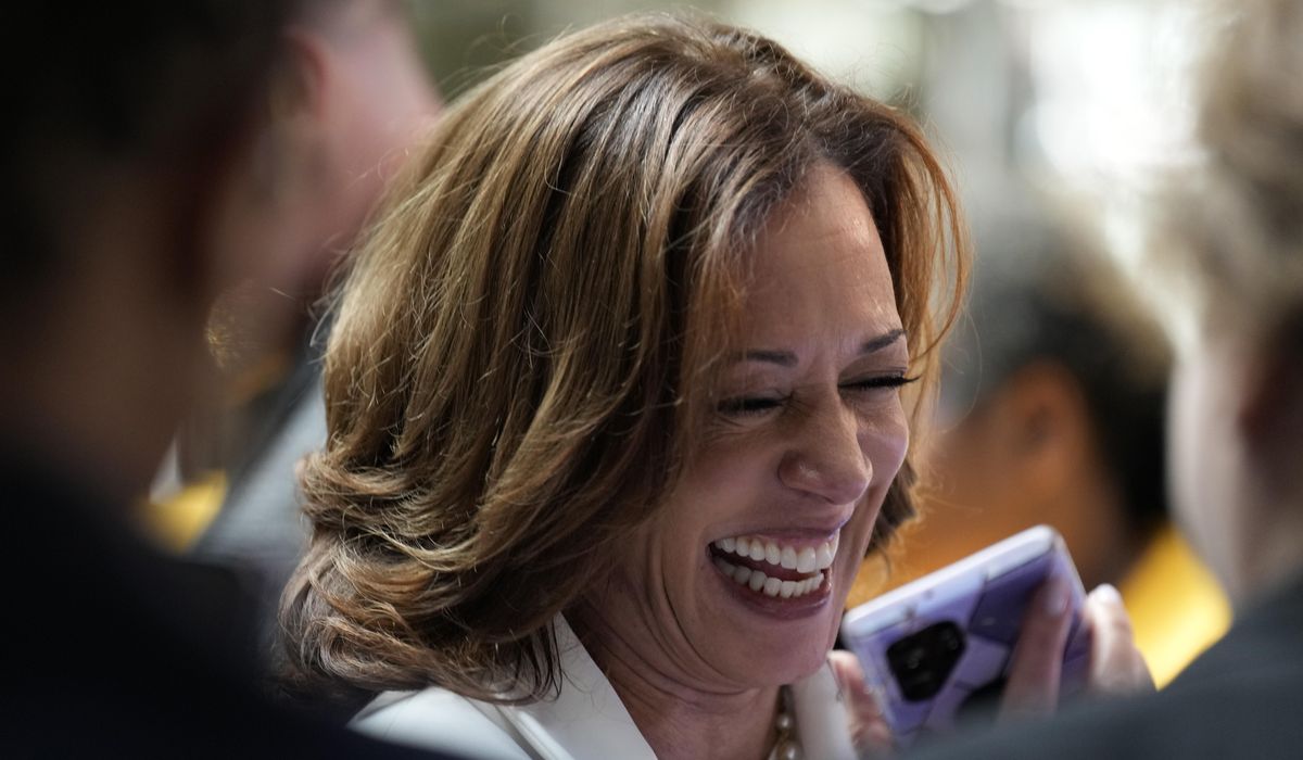 NextImg:Harris pumps up base in south Georgia where fans cheer her as ‘something new’