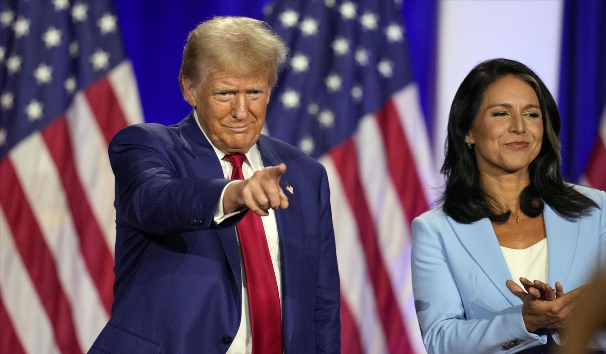 NextImg:Former Rep. Tulsi Gabbard: Trump planning to focus on VP Harris’ ‘disastrous’ record at debate