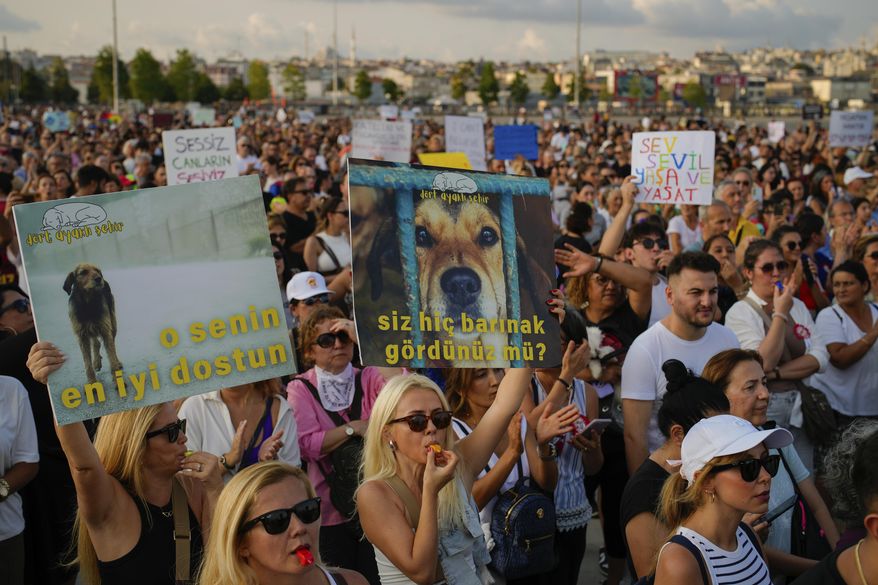 People march during a protest against a bill approved by Turkish legislators that aims to remove stray dogs off the country's streets, in Istanbul, Turkey, Sunday, Sept. 1, 2024. Boards read in Turkish: "She is your best friend" and "Have you ever seen a shelter?". (AP Photo/Emrah Gurel)