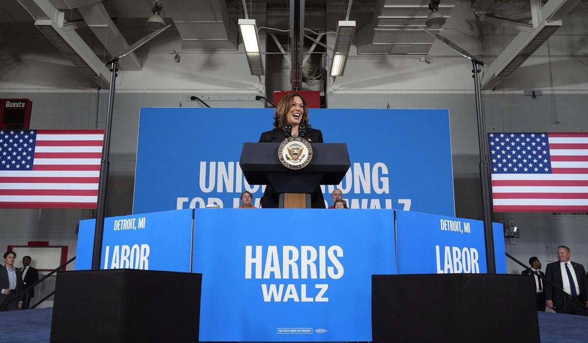 NextImg:Kamala Harris positions herself as change candidate, but embraces unpopular ‘Bidenomics’