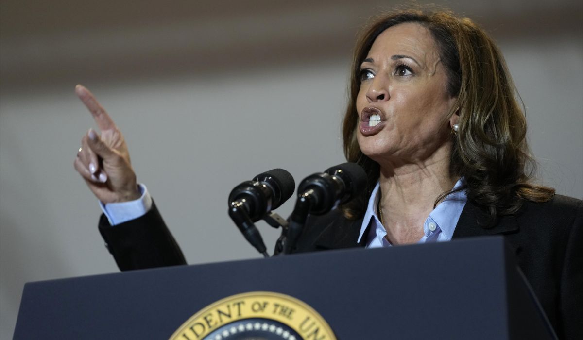 NextImg:Kamala Harris adds policy positions to campaign website