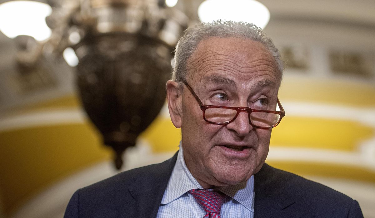 NextImg:Schumer says Congress will provide more money to Secret Service if necessary