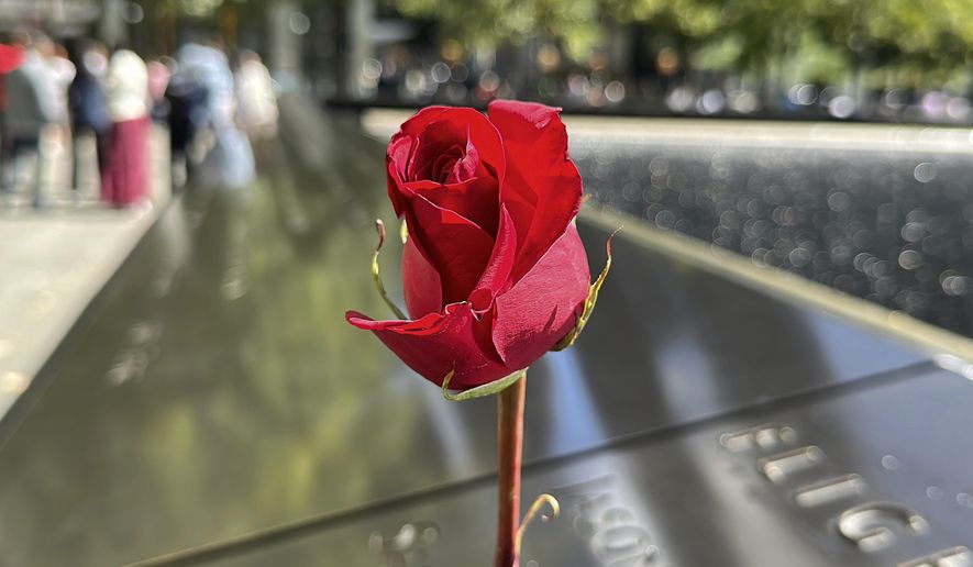 A red rose is placed on one of the reflecting pools at the National September 11 Memorial & Museum, Sept. 8, 2024, in New York, (AP Photo/Ted Shaffrey, File)