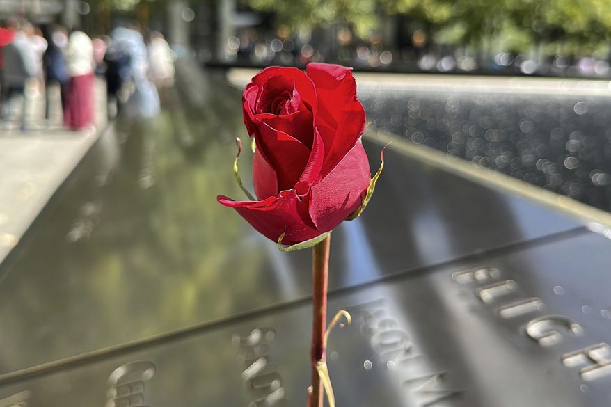 A red rose is placed on one of the reflecting pools at the National September 11 Memorial & Museum, Sept. 8, 2024, in New York, (AP Photo/Ted Shaffrey, File)
