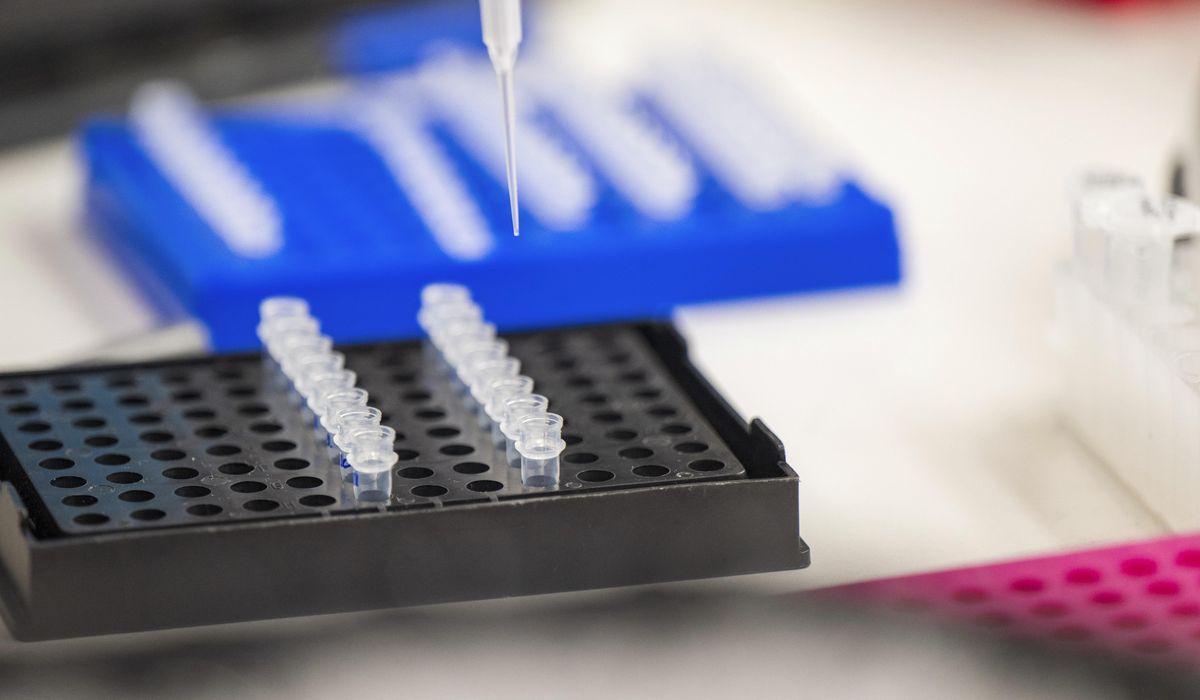 NextImg:FDA halts Biden-era program of sending Americans’ DNA to China for genetic engineering