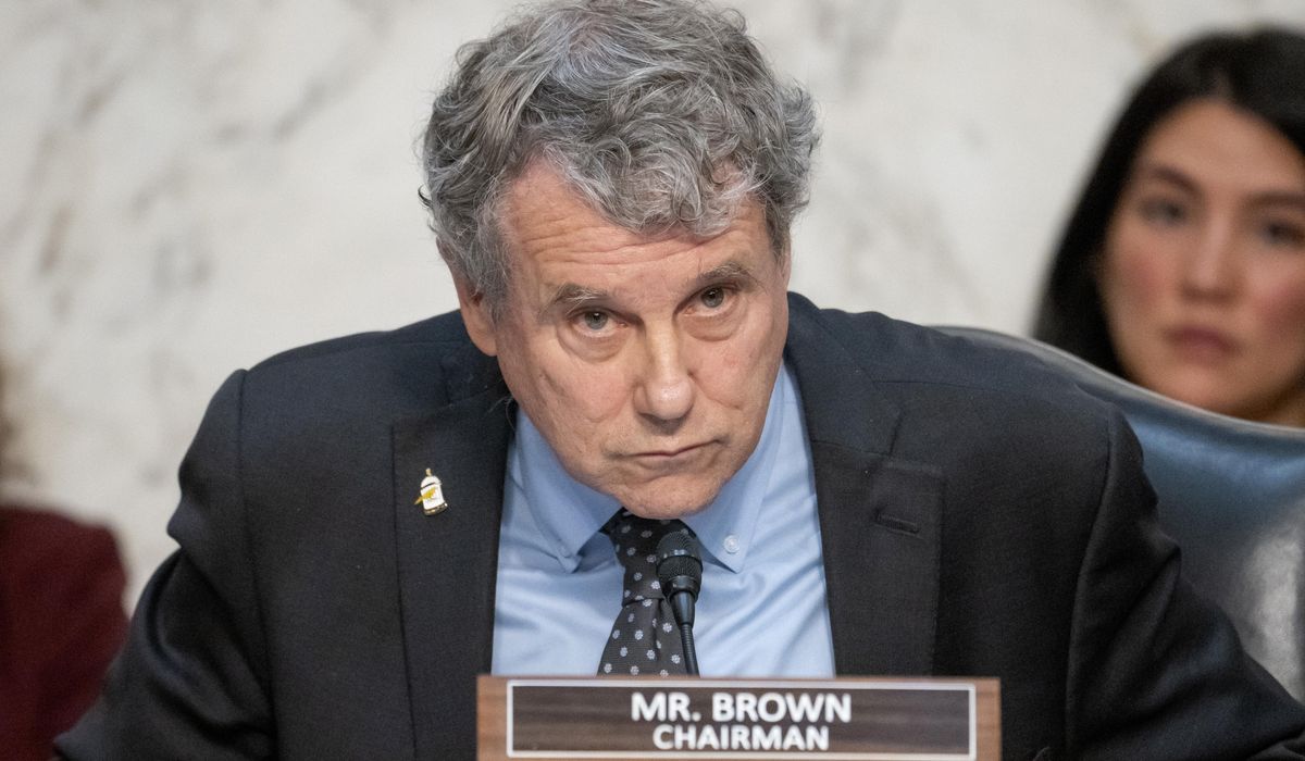 NextImg:Republican challenger opens lead over Democrat Sherrod Brown in Ohio’s U.S. Senate race