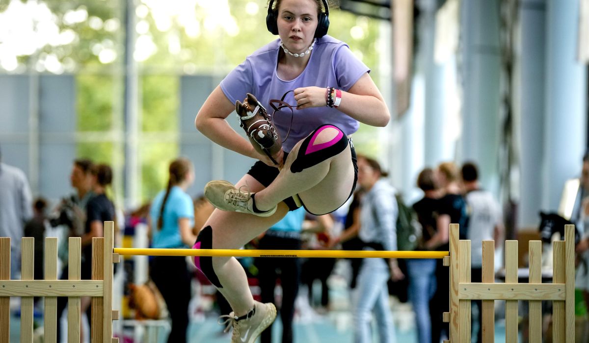 NextImg:Germany’s first hobby horsing championship will gallop through Frankfurt