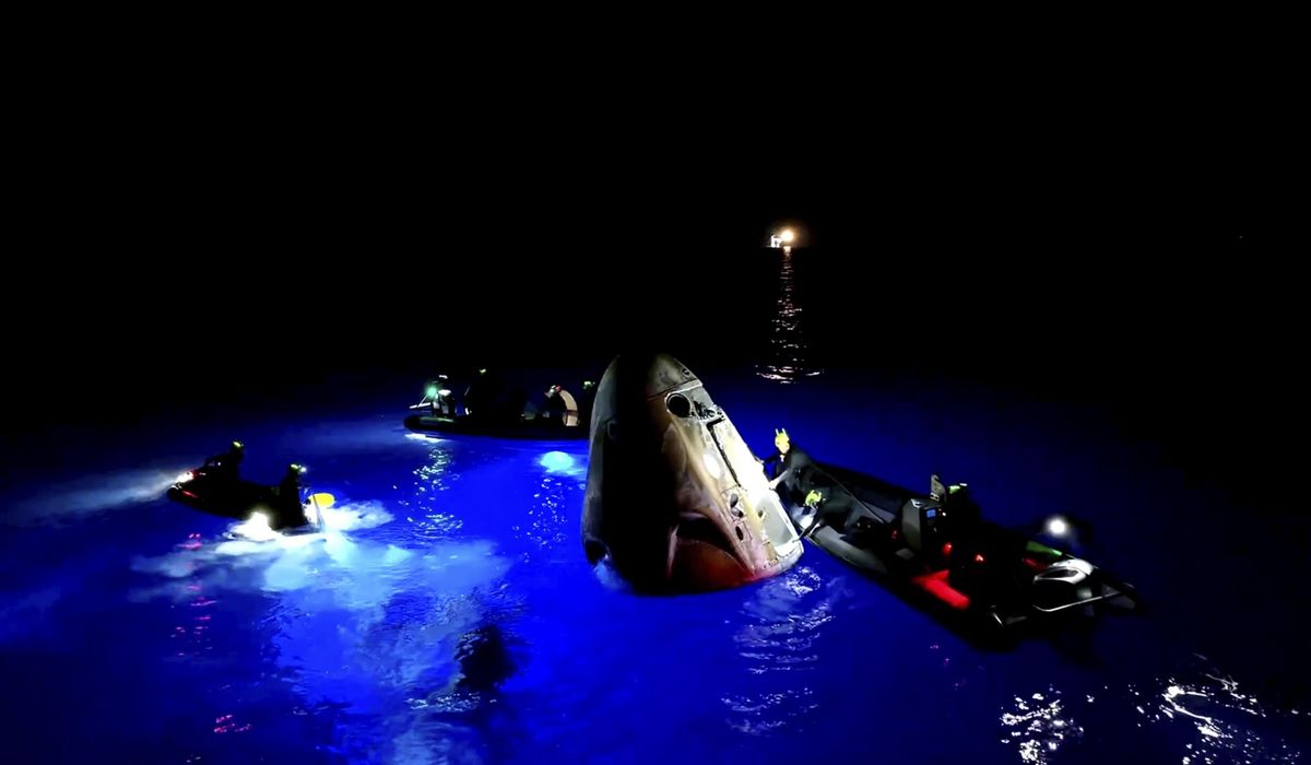 NextImg:Tech billionaire returns to Earth after first private spacewalk