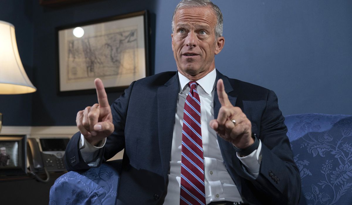 NextImg:John Thune elected Senate majority leader for next Congress, replacing Mitch McConnell