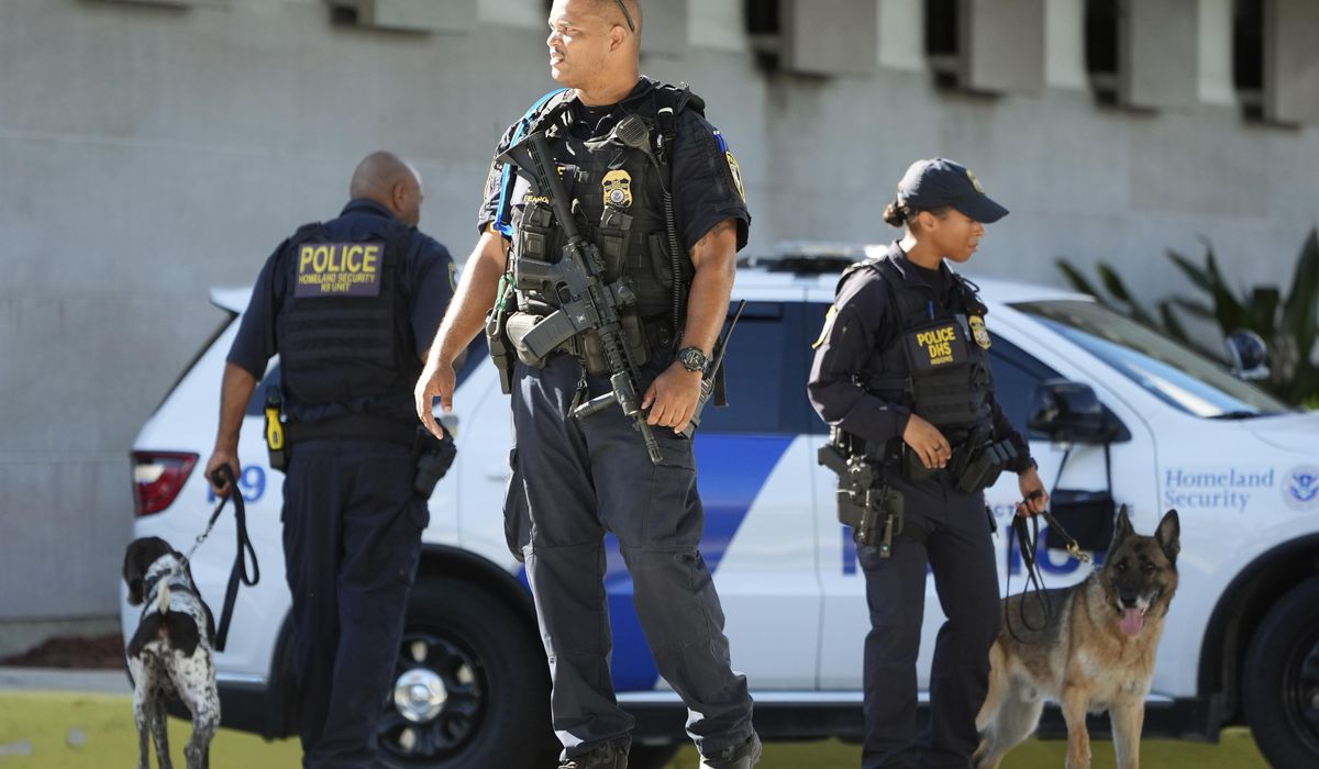 NextImg:Video shows DHS agents detaining Nadler aide outside of congressional office