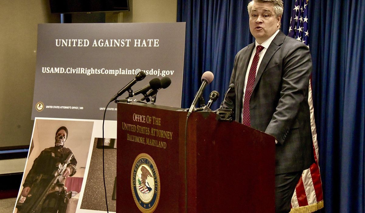 NextImg:Woman sentenced to 18 years for plotting with neo-Nazi leader to attack Baltimore’s power grid
