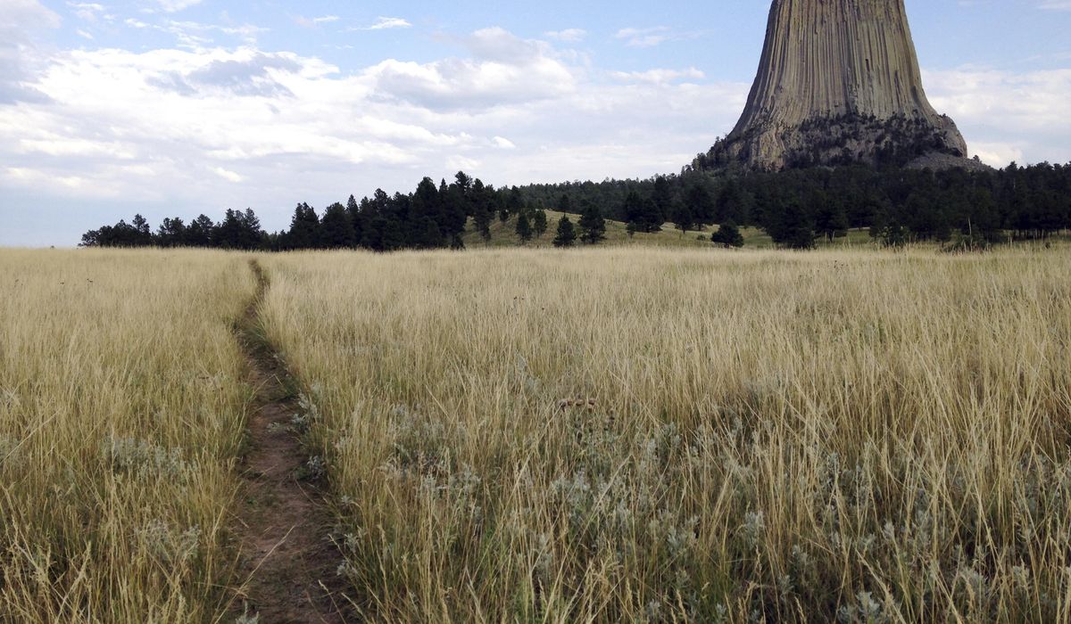 NextImg:Fall kills climber and strands partner on Wyoming’s Devils Tower